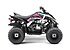 2019 Yamaha Raptor 90 for sale 200643209